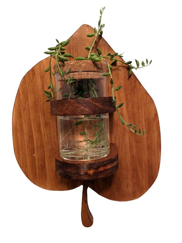 Hanging Wooden Full Leaf Propagation Station