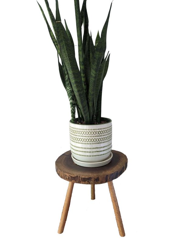 Walnut Plant Stand