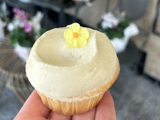 Magnolia Vintage Cupcake