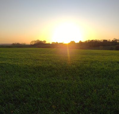 FREE 100 Uplifting Affirmations