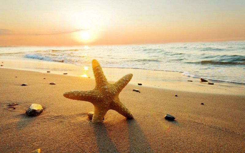 FREE Hypnosis-free Quick 6 Minute Full Body Relaxation VIDEO