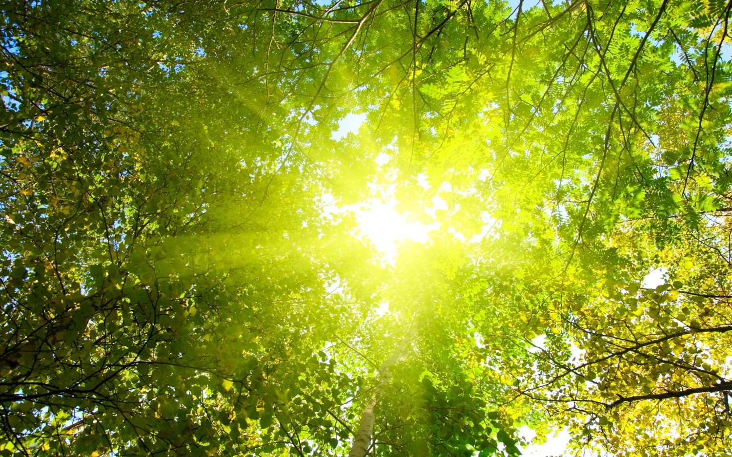 Seasonal Affective Disorder (SAD) or "Winter Blues" Hypnotherapy