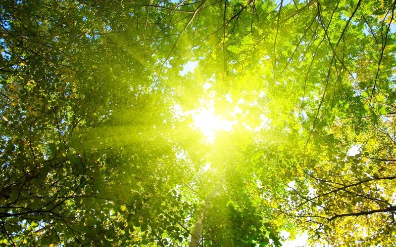 Seasonal Affective Disorder (SAD) or "Winter Blues" Hypnotherapy