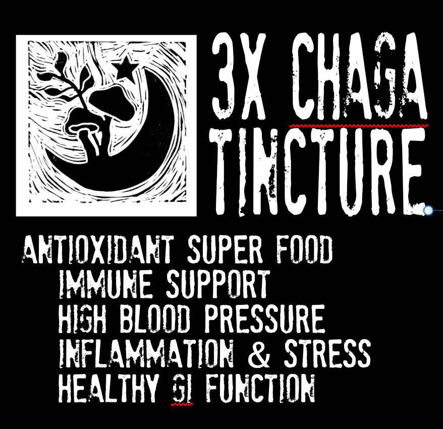 3X Chaga Tincture