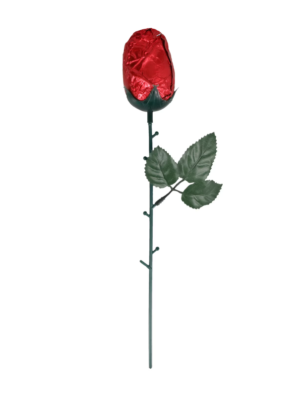 Chocolate Rose