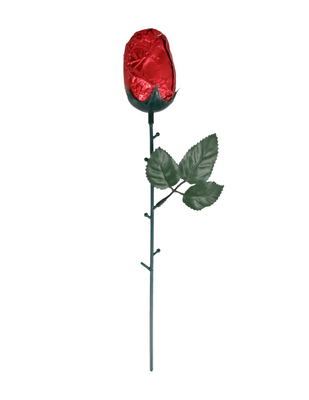 Chocolate Rose