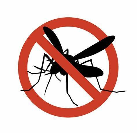 Buzz Off Balm