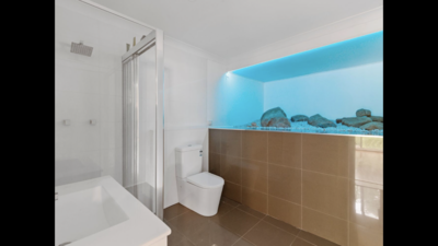 Bathroom renovations