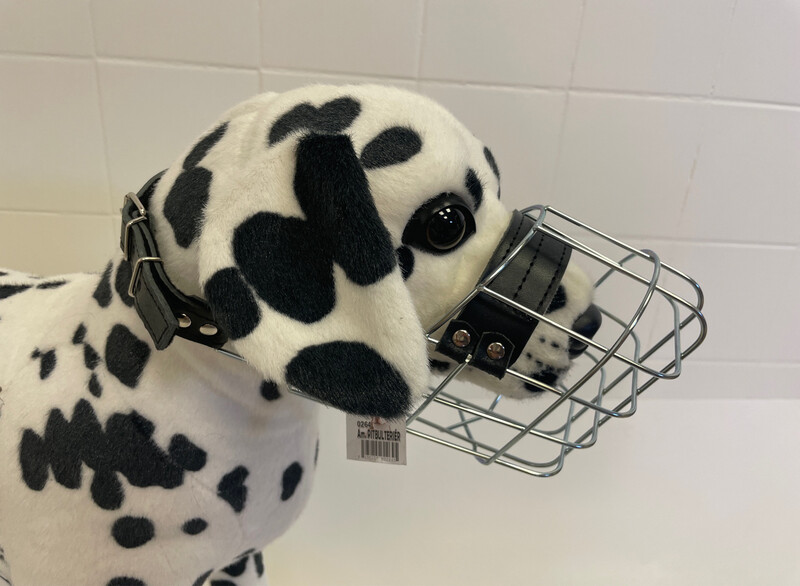 JVM Pitbull Rüde