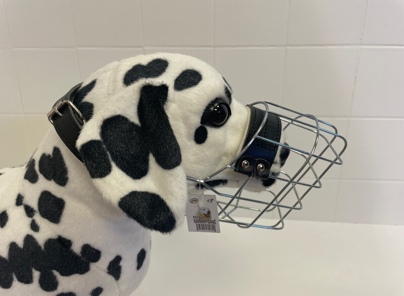 JVM Kuvasz Rüde