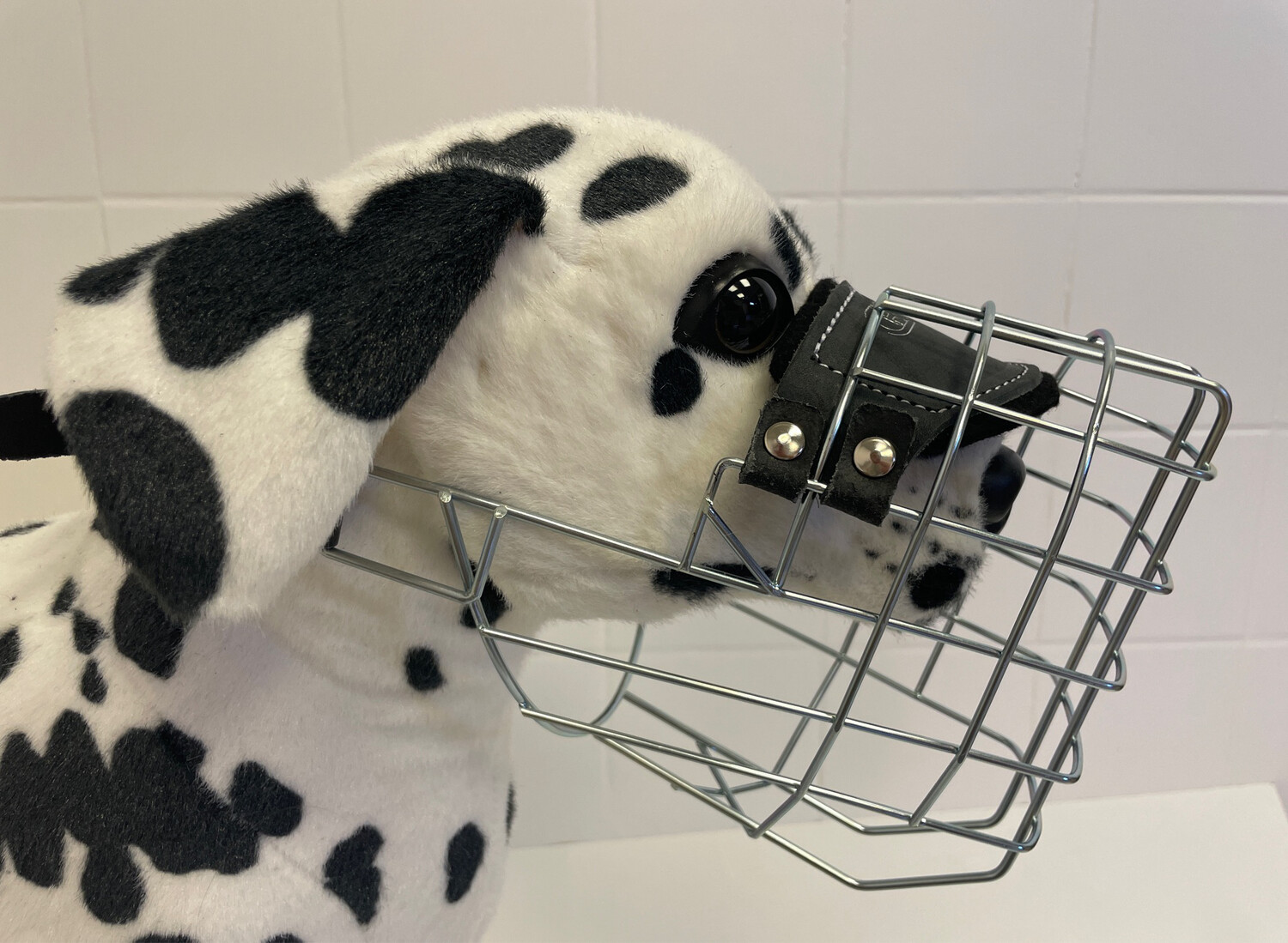 Chopo Deutscher Schäferhund medium