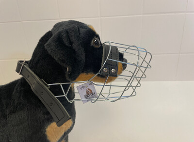 JVM Basset Hündin