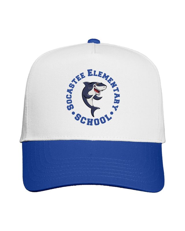 HAT: White/Royal Circle Design
