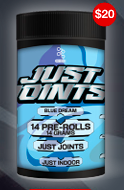 SEVENg Just Joints 14G 14 Pre-Rolls Blue Dream