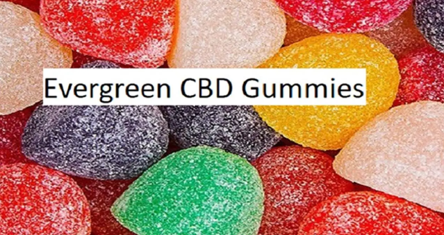Sophie Evergreen CBD Gummies