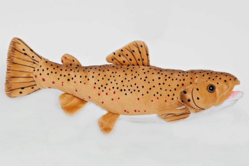 10&quot; Brown Trout