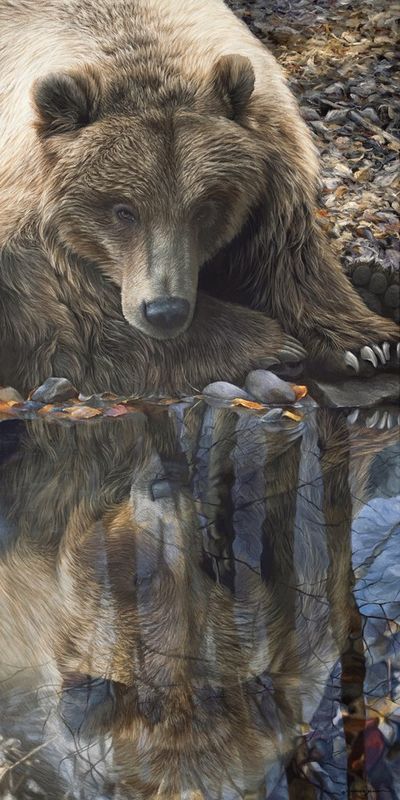 James Corwin 10x20 Grizzly Bear in Fall Art &quot;Reflection&quot;