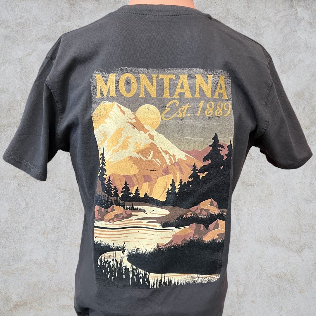 Montana Cozy Mountain Stream