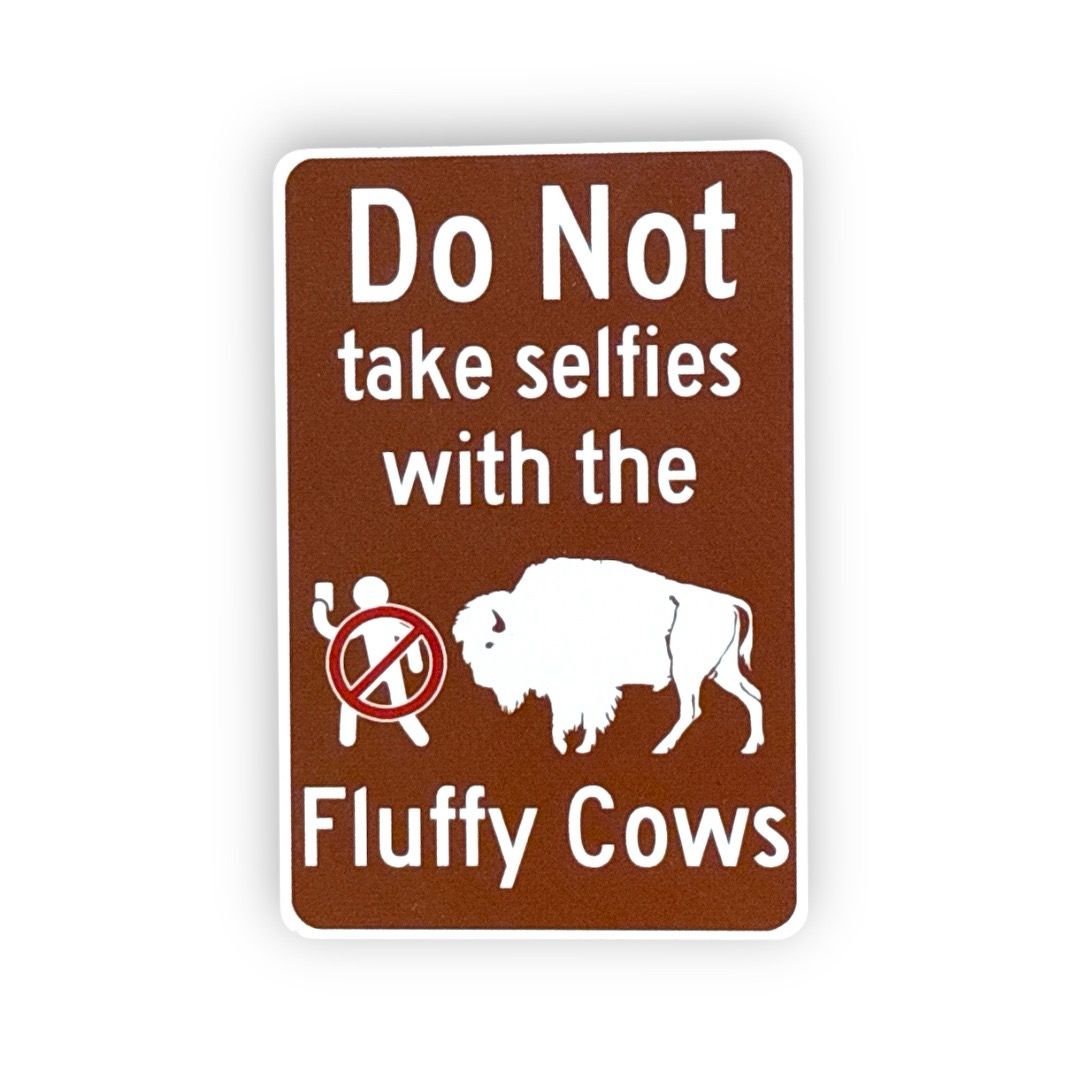 Do Not Take Selfies With the Fluffy Cows Magnet