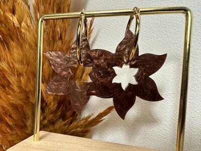 Star flower - pearly Brown