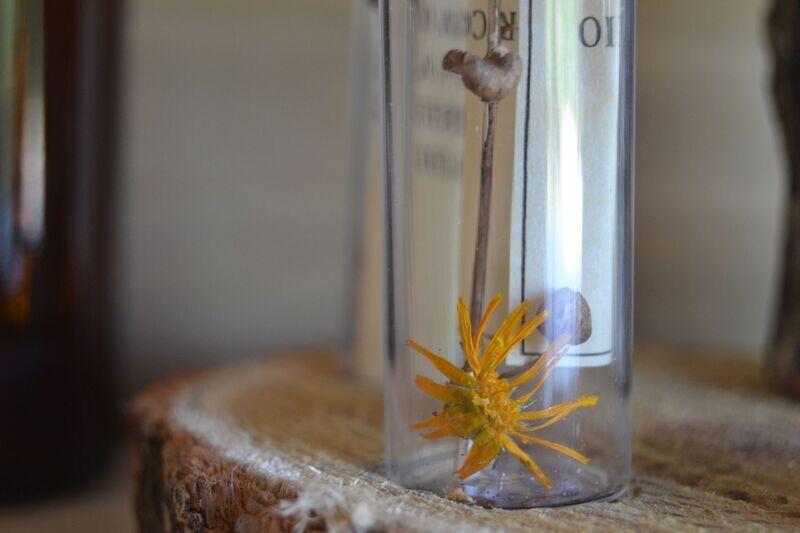 MESSAGE IN THE BOTTLE