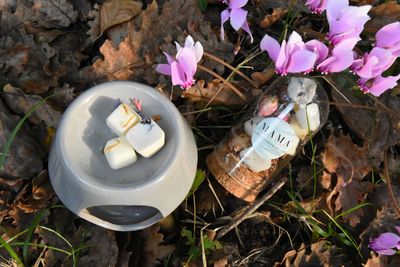 TRIS TARTE IN AMPOLLA TRIS TARTE IN AMPOLLA