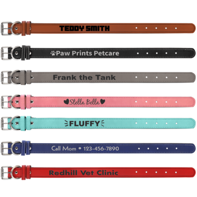 Pet Collars