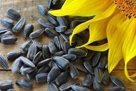 99% Black Oil Sunflower Seed, Size: 25lb