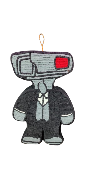 Cameraman 2D