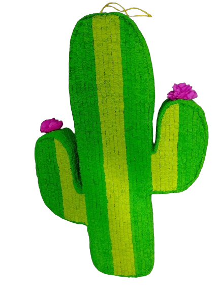 Cactus 2D