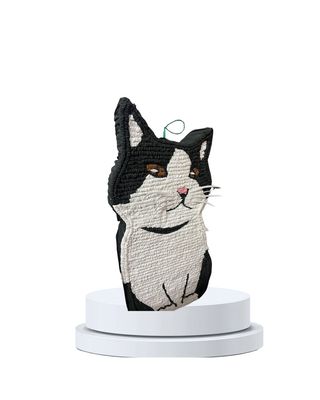 Gato blanco negro
