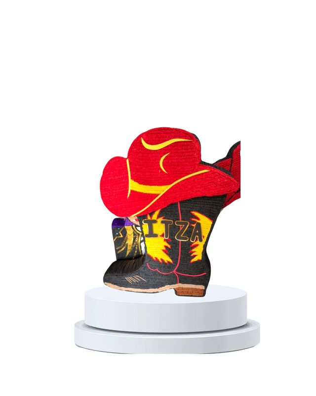 Bota norteña 2D