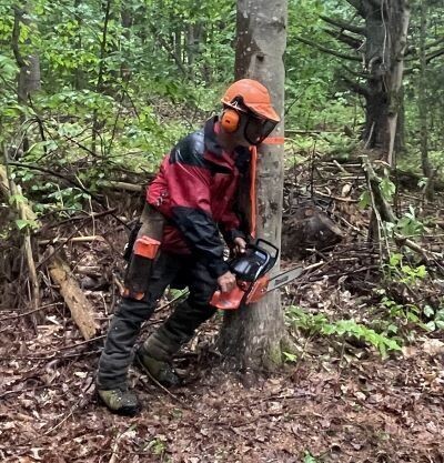 CONVERTING TREES TO TIMBER Jun 22-27, 2025