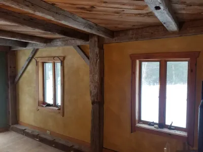 NATURAL PLASTERS & PAINTS