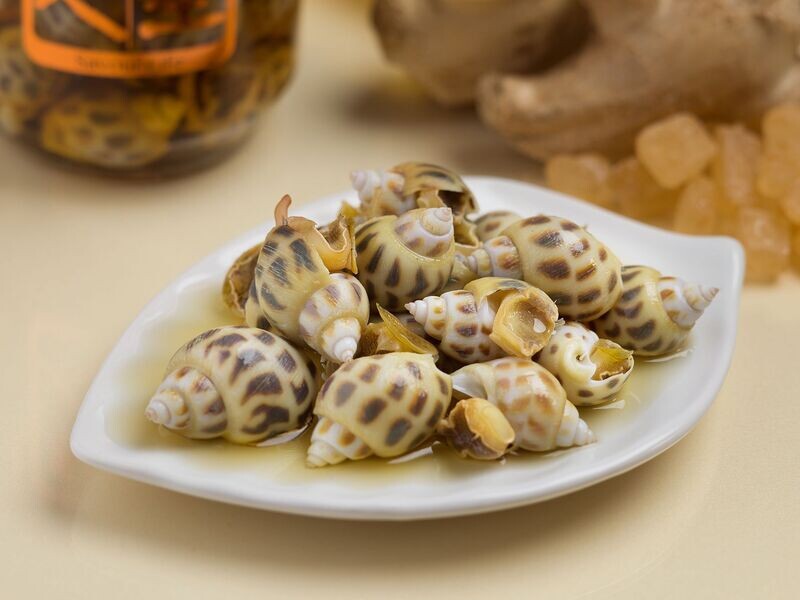 Drunken Sea Snail 酒醉花螺