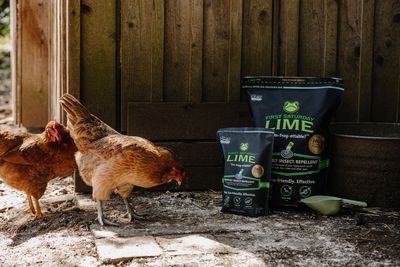 First Saturday Lime Insect Repellent