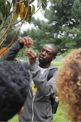 R2314 Geo Edwards - The Lung Garden