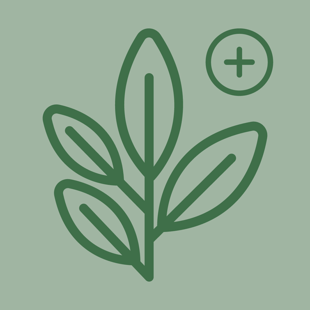 Friday Intensive Class - Registration Add-on