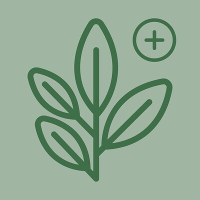 Friday Intensive Class - Registration Add-on