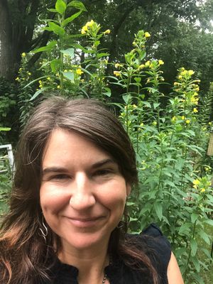 R2405 Cody Westendorf - Wild Sodas and Mead Making