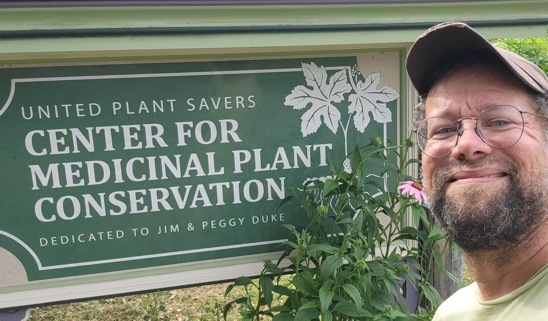 R2424 Marc Williams - Medicinal Plant Biogeography and Conservation