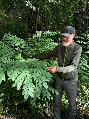 R2473 Paul Saunders - Botanical Cardiology