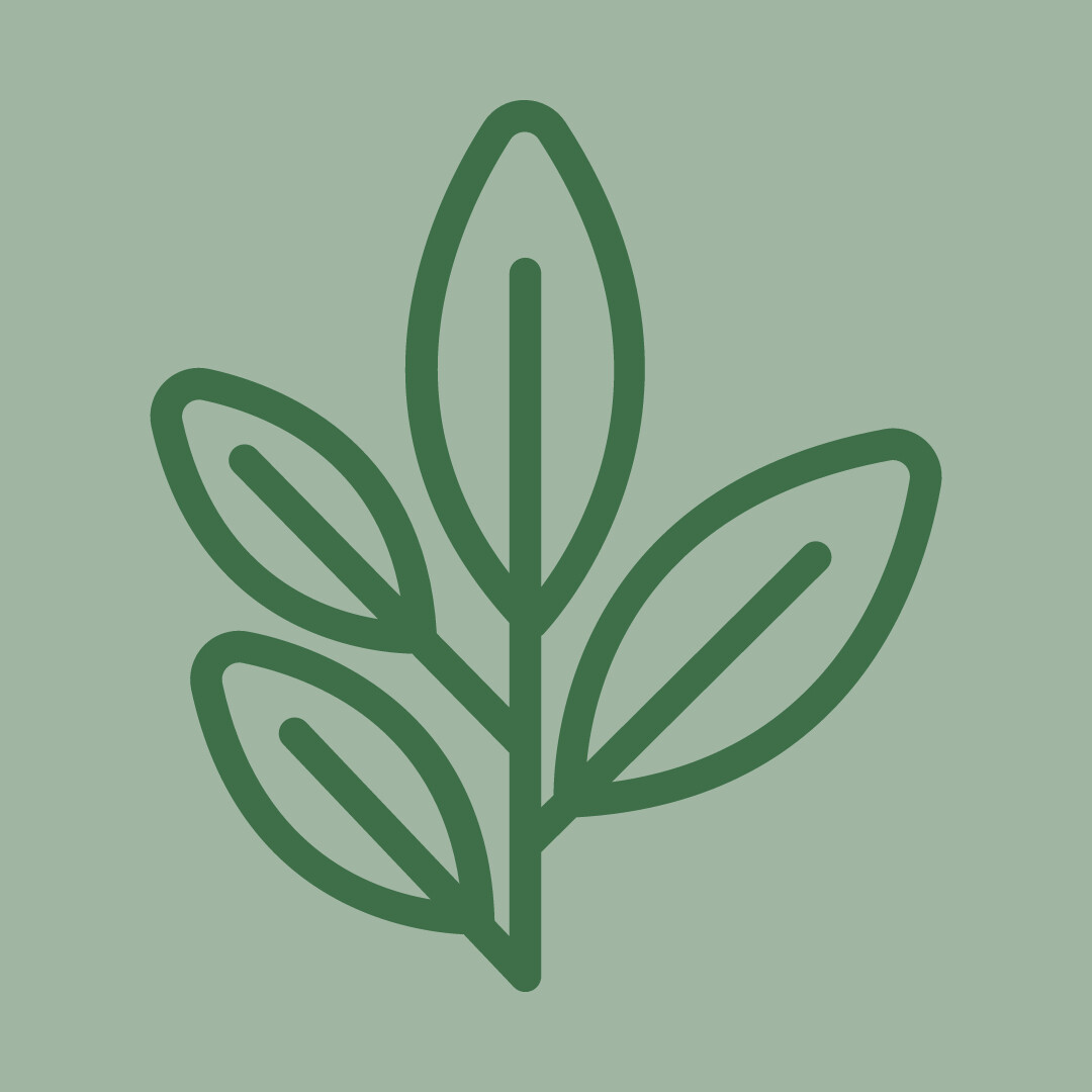 Friday Intensive Class ONLY 2026