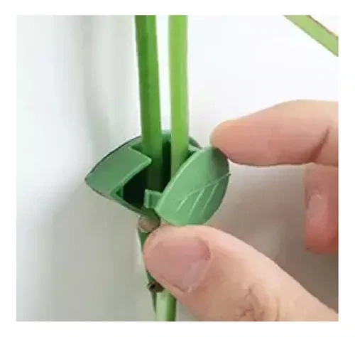 Set 10 Clips Adhesivos Guia Tutor Para Escalada De Plantas
