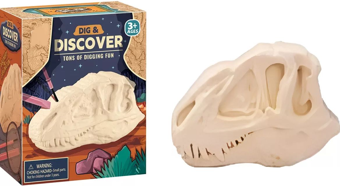 Kit Juguete De Exploracion Excavación Cabeza De Dinosaurio Para Niños