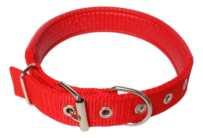 Collar Para Mascotas Banda de  45 Cm De Largo