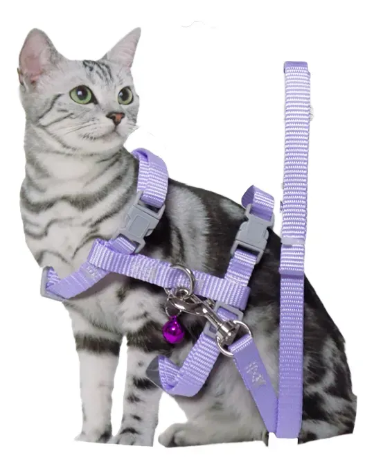 Collar Para Gato Con Correa Perchera Ajustable  Nylon Resistente