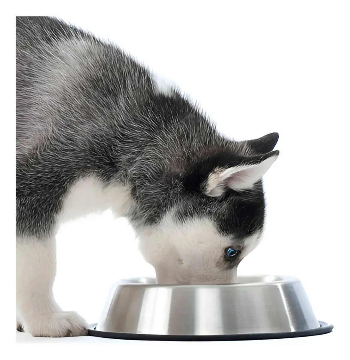 Comedero Plato Cuenco De Mascota De De 18 Cm