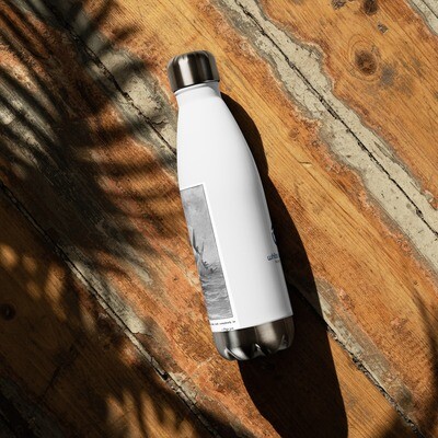 Moby Dick + Logo: Stainless steel water bottle