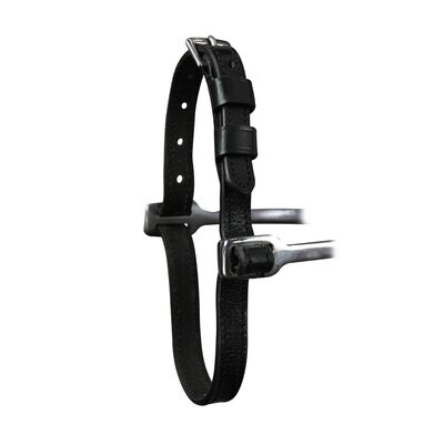 Cinturini Speroni Pelle Equityum Ester, Alta Qualità, Materiale Resistente, Confortevoli e Efficienti, Mantenere gli Speroni in Posizione, Design Italiano.